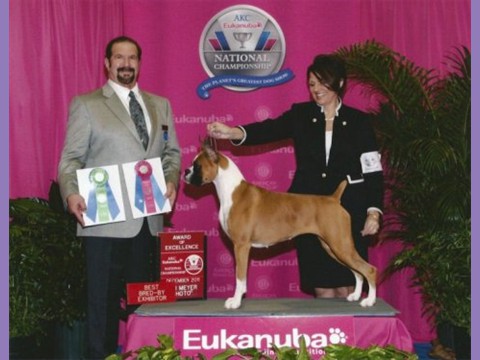 December 17, 2011- AKC/Eukanuba - BBE & AOE 