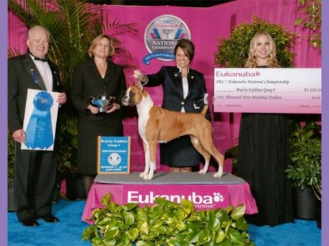 December 17, 2011- AKC/Eukanuba - Best BBE in Working Group 1