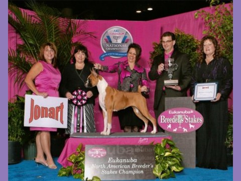 December 17, 2011 - AKC/Eukanuba Breeder Sweepstakes