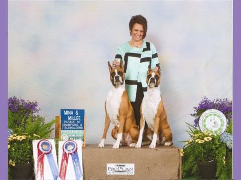 May 2015 -- ABC -- Parade of Champions - Millee & Mina