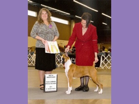 March 2011 - Dallas Boxer Club - Grand Sweepstakes