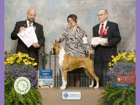 May 2011 - ABC National - Futurity - Reserve 6-9 Puppy