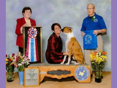 June 18, 2011 - Youngest Boxer in history to win a All Breed BIS