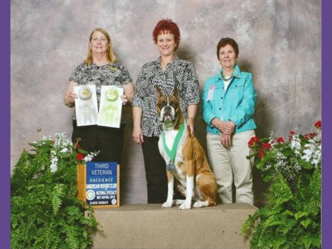 2014 ABC Obedience - 3rd in Veteran