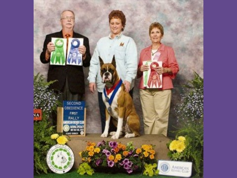 5/08/2010 -- American Boxer Club -- Obedience & Rally