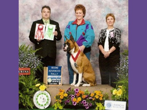 5/09/2010 -- American Boxer Club -- Rally