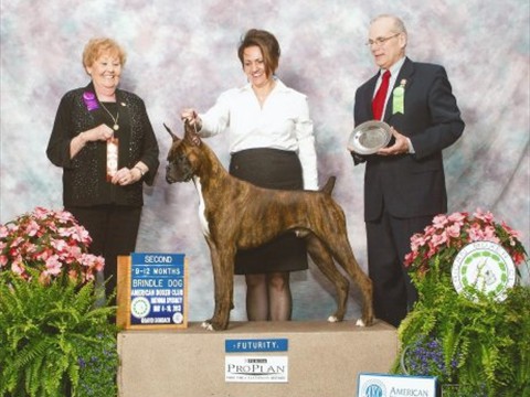 May 2013 -- ABC - Futurity -- 2nd 9-12 mos