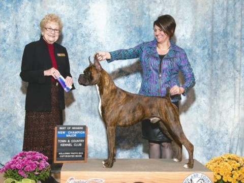 November 2013 -- Town & Country KC -- BOW -- NEW CHAMPION!