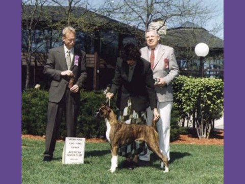 05/05/2002 -- ABC National - Futurity, 2nd 6-9 mos 